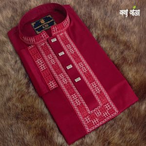 Embroidery Panjabi